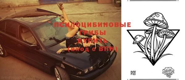 мет Алексин