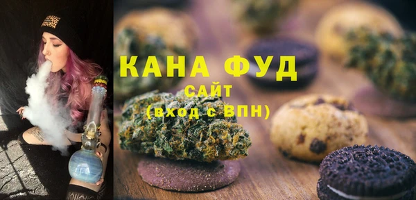 мет Алексин