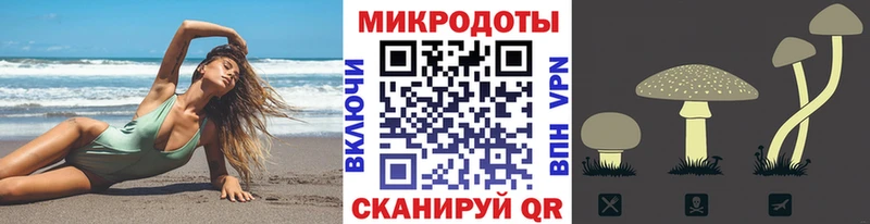 Псилоцибиновые грибы Psilocybe  где купить наркоту  Кизел 